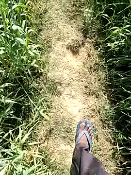 aryanvfit online show from February 14, 8:11 am