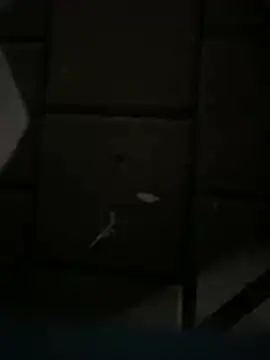 Darkhotcouple online show from February 14, 9:22 pm