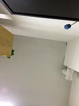 bbsitopiton online show from February 11, 2:49 am