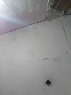 cobrosdepagos online show from April 11, 4:17 am