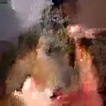 tubellaflor online show from March 1, 10:23 pm