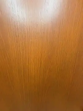 SANA-ch online show from March 29, 1:44 pm