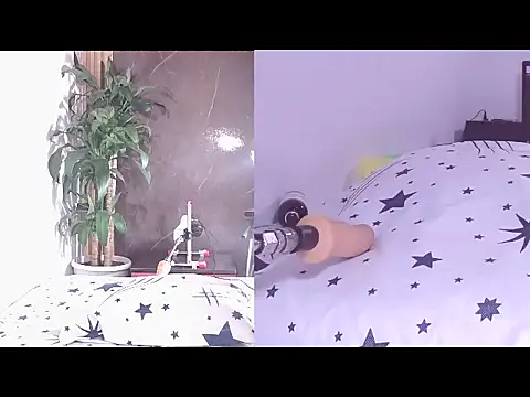 Carol Swet online show from April 21, 11:49 am