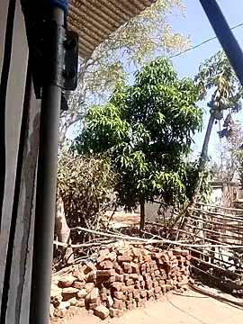 taniya0 online show from March 13, 6:31 am