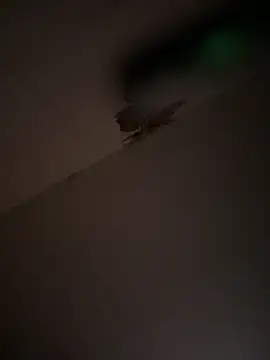 Valentinacouple online show from March 7, 7:16 am