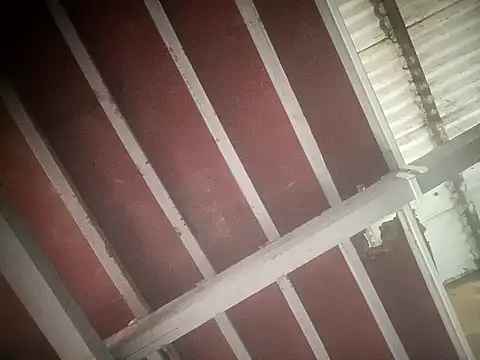 Snapshot of sex_baby26 chatting on February 21, 6:47 am sex baby26 online show from February 21, 6:47 am