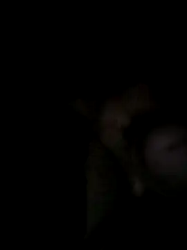 Egypt1000 online show from March 27, 3:34 am