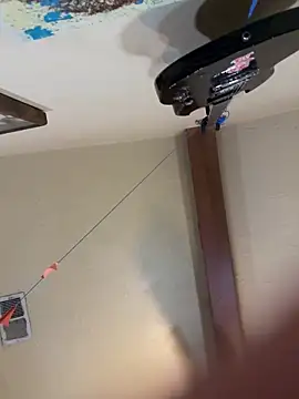 Snapshot of Link_and_Saria chatting on March 1, 12:29 pm Link and Saria online show from March 1, 12:29 pm