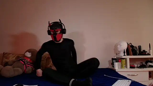 K9 GoodBoy online show from May 16, 11:42 am