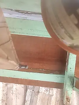 Snapshot of euchapo99 chatting on February 19, 1:51 pm euchapo99 online show from February 19, 1:51 pm