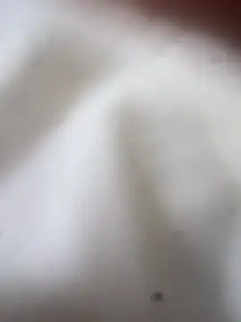 Jaybraconect online show from February 21, 5:08 am