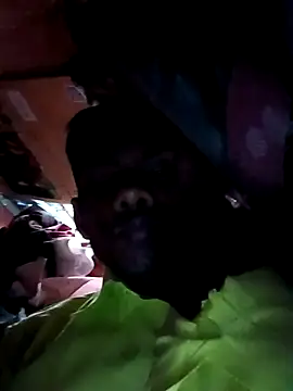 India-Sajan online show from March 21, 6:51 am