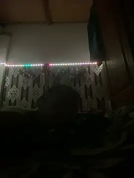 salimi26 online show from February 25, 7:12 pm