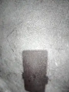 Snapshot of ngocbao11 chatting on March 10, 12:54 pm ngocbao11 online show from March 10, 12:54 pm