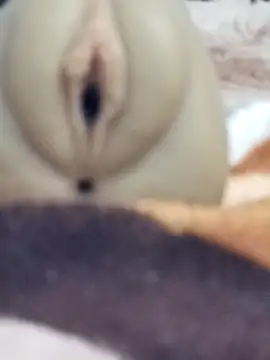 Snapshot of Mikecrazyhy chatting on February 25, 3:16 am Mikecrazyhy online show from February 25, 3:16 am