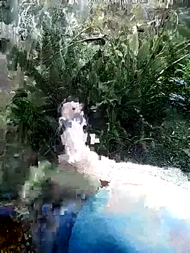 mar coral2 online show from July 7, 1:37 pm