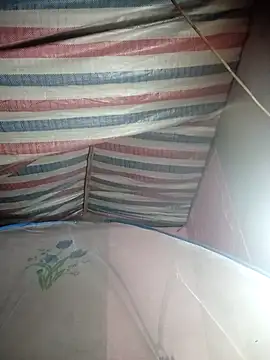 Snapshot of Susu-bae chatting on February 26, 1:48 am Susu-bae online show from February 26, 1:48 am