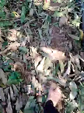 blackbeauty321 online show from March 3, 9:04 am