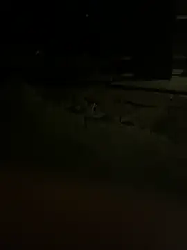 Snapshot of princessandthefootjob chatting on March 31, 4:35 am princessandthefootjob online show from March 31, 4:35 am