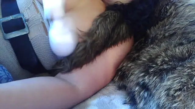 BunnyYT online show from March 10, 11:59 am