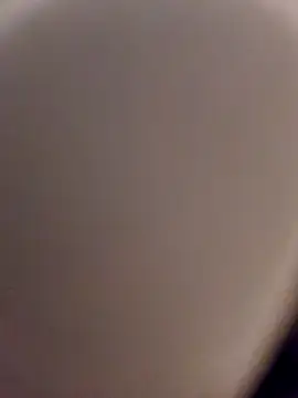 Snapshot of skynct2007 chatting on February 24, 5:38 am skynct2007 online show from February 24, 5:38 am