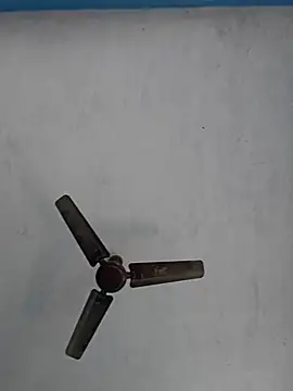 Snapshot of 67sanju chatting on February 28, 4:46 am 67sanju online show from February 28, 4:46 am