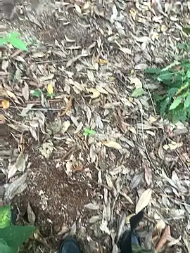 bibedro online show from February 28, 9:16 pm