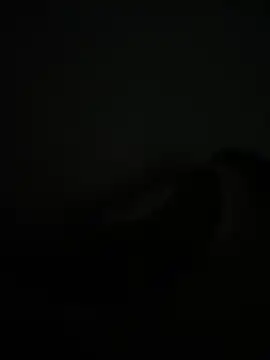 noorqwertz online show from May 8, 4:56 pm