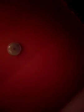 Snapshot of alexandruElena chatting on February 28, 6:20 pm alexandruElena online show from February 28, 6:20 pm