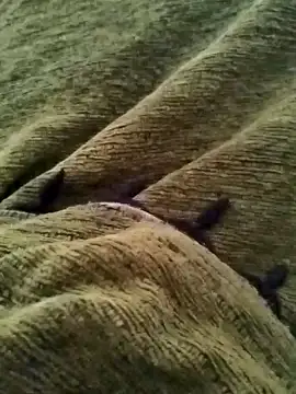 detasuta online show from March 7, 3:47 am