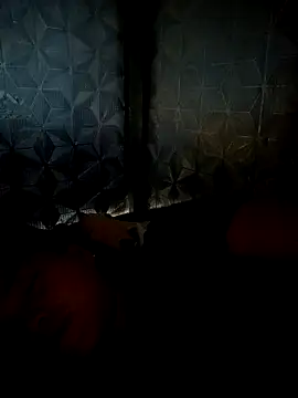 dualeo11 online show from March 30, 11:06 pm