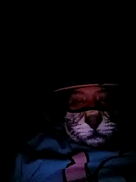 Snapshot of Charlygunslove chatting on March 3, 1:34 am Charlygunslove online show from March 3, 1:34 am