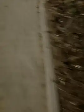 MarekPublicShow online show from March 3, 9:42 pm