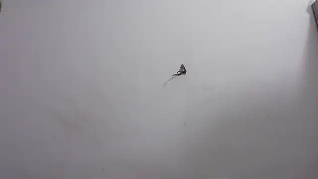 hard to do   online show from April 20, 6:16 am