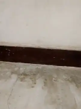 Student girl00 online show from March 15, 5:02 am