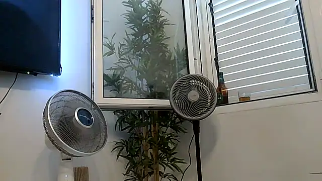 yanick931 online show from July 27, 11:39 am