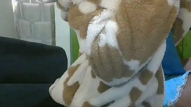 Elianastar online show from April 16, 4:46 am