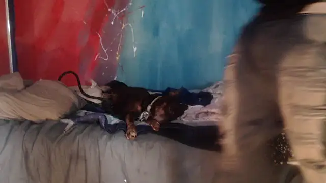 Snapshot of punkyslut69 chatting on April 14, 6:25 pm punkyslut69 online show from April 14, 6:25 pm