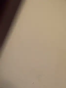 Snapshot of buivali00 chatting on March 15, 11:38 am buivali00 online show from March 15, 11:38 am