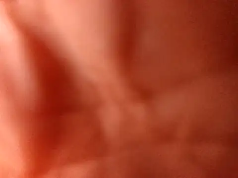 PinkredWad online show from April 1, 1:41 pm