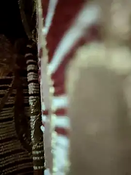 Snapshot of Gayegypt chatting on April 4, 6:33 am Gayegypt online show from April 4, 6:33 am