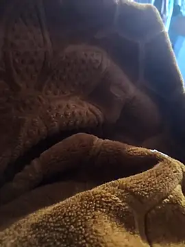 sexy-girl147 online show from April 5, 9:12 pm