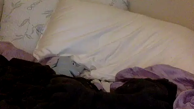 savannabanana online show from March 26, 3:34 am