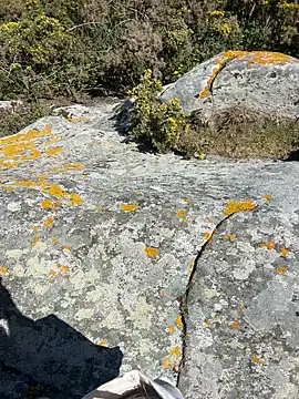 Adventure wifeandblack online show from April 3, 12:47 pm