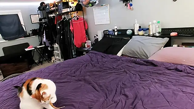 PolyCircus online show from April 12, 4:06 am