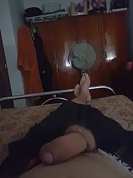 mecaloco online show from July 27, 1:51 pm