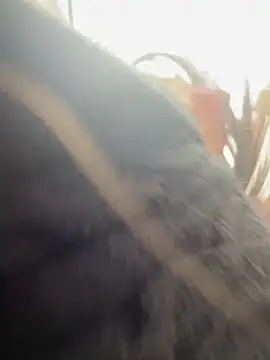 Snapshot of AlmaSajor_ chatting on April 14, 1:17 pm AlmaSajor online show from April 14, 1:17 pm