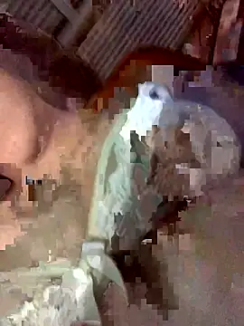 Latinshott online show from April 6, 4:10 am