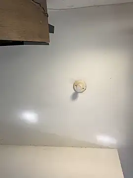 sanches 065 online show from April 6, 4:52 pm