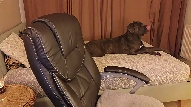 Sharon Red online show from December 2, 6:21 pm